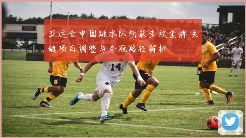 亚运会中国跳水队斩获多枚金牌 关键项目调整与夺冠路径解析