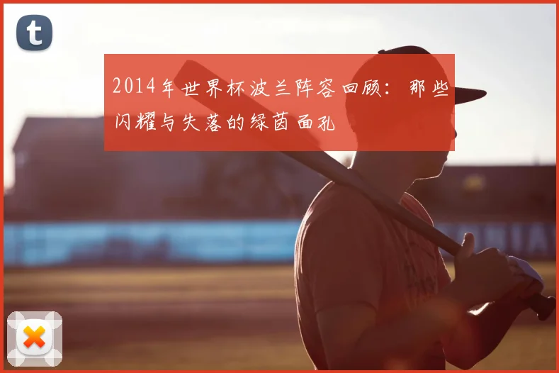 2014年世界杯波兰阵容回顾：那些闪耀与失落的绿茵面孔