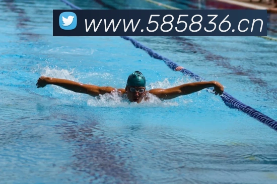 爱游戏ayx网页版入口APP 封面图